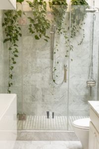 vines hang down a shower wall